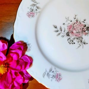 Vintage Bohemian Fine China Maria Dinnerware